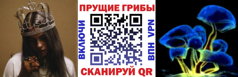 Галлюциногенные грибы GOLDEN TEACHER  Георгиевск 